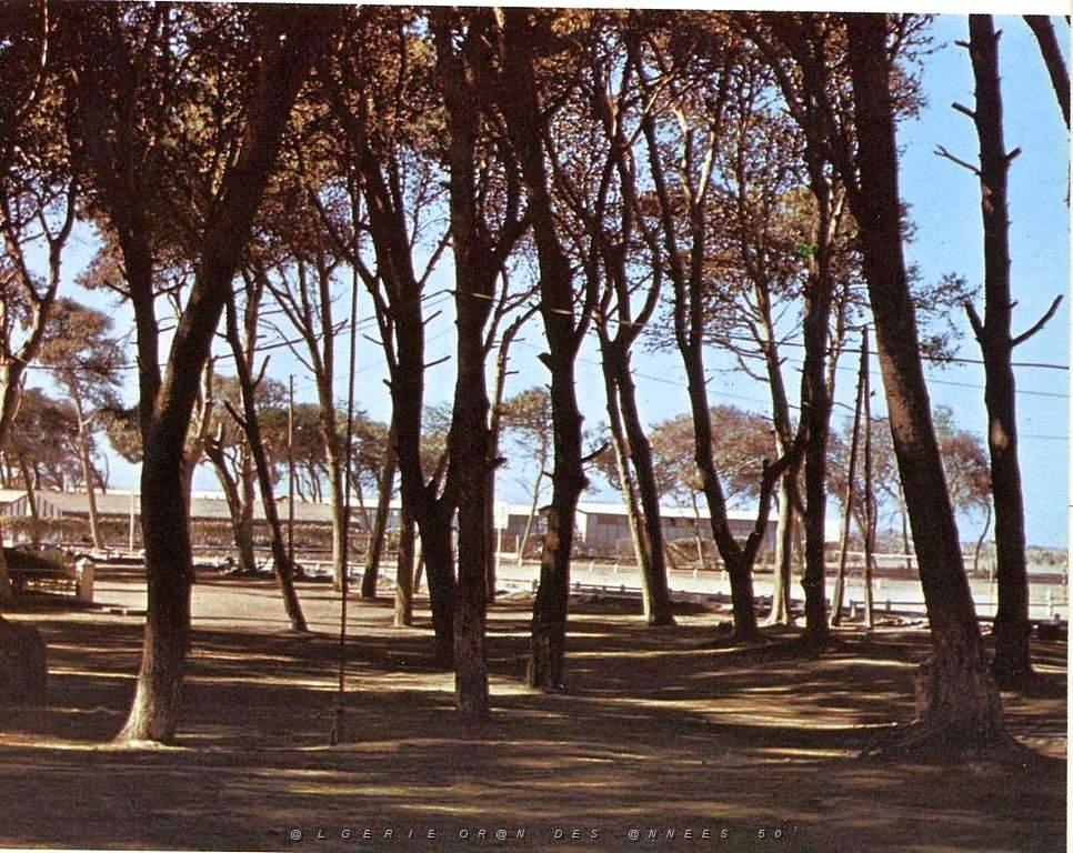 x- Annexe photo 002- 004- 006- Camp du Lido  05.JPG